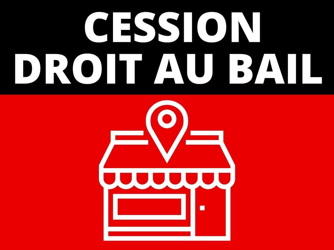 VENTE LOCAL COMMERCIAL DAB - 458 m2 01400 CHATILLON SUR CHALARONNE