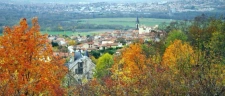 Carlos NORBERTO, mandataire immobilier Optimhome à Mur-sur-Allier 63115 et Vertaizon 63910
