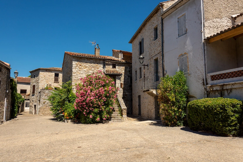 Ruelle pittoresque avec maisons en pierre dans le village de Ruoms en Ardèche, décorée de végétation