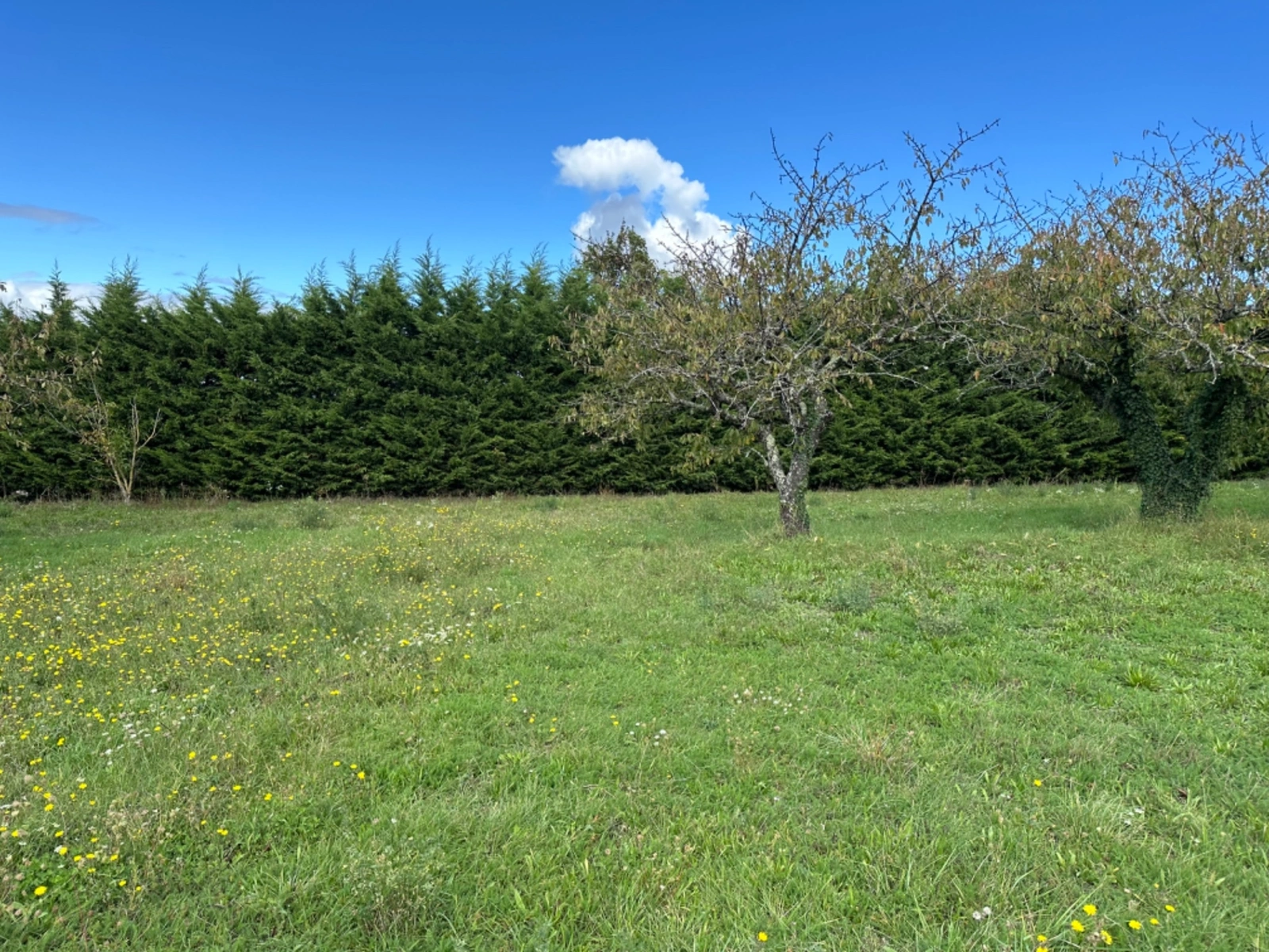 Terrain à vendre ANSE 1083m2 247 200€