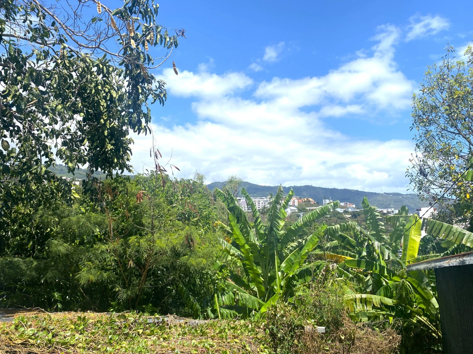 Maison à vendre SAINTE CLOTILDE 4 pièce(s) 110m2 370 000€