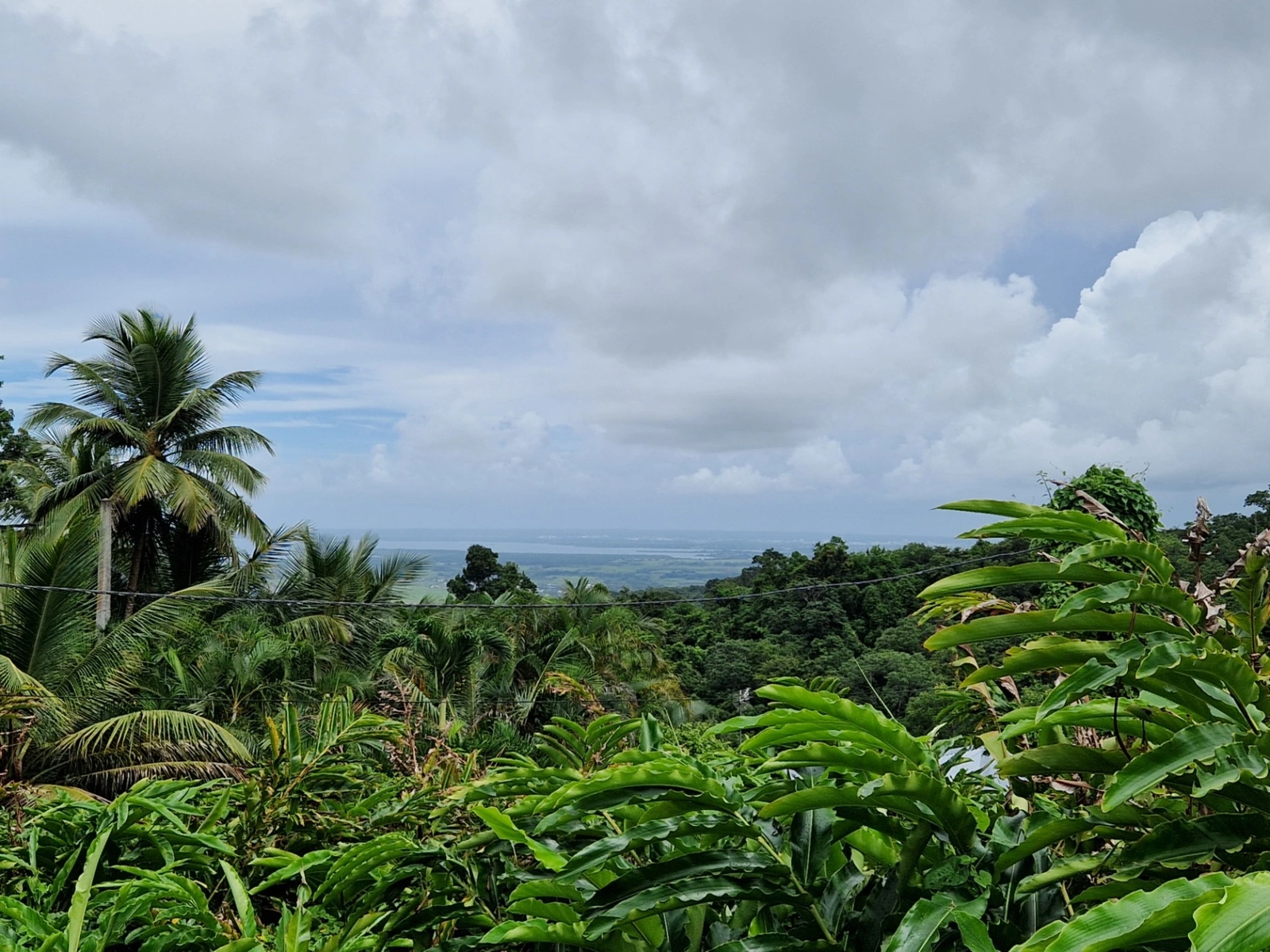 Maison à vendre SAINTE ROSE 8 pièce(s) 250m2 790 000€