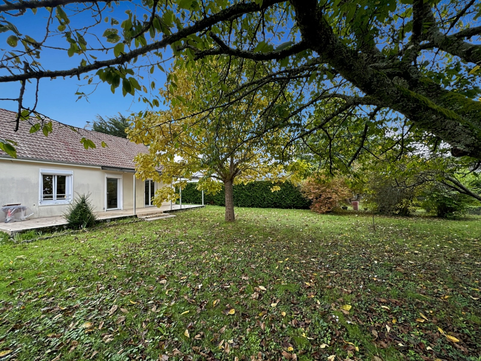 Sitemapcdatahttpshauscellcare1commaison A Vendre Maransnull