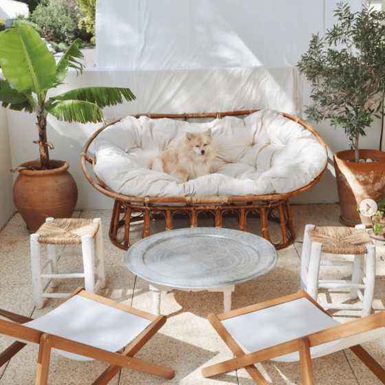 Salon de jardin avec chilienne blanche