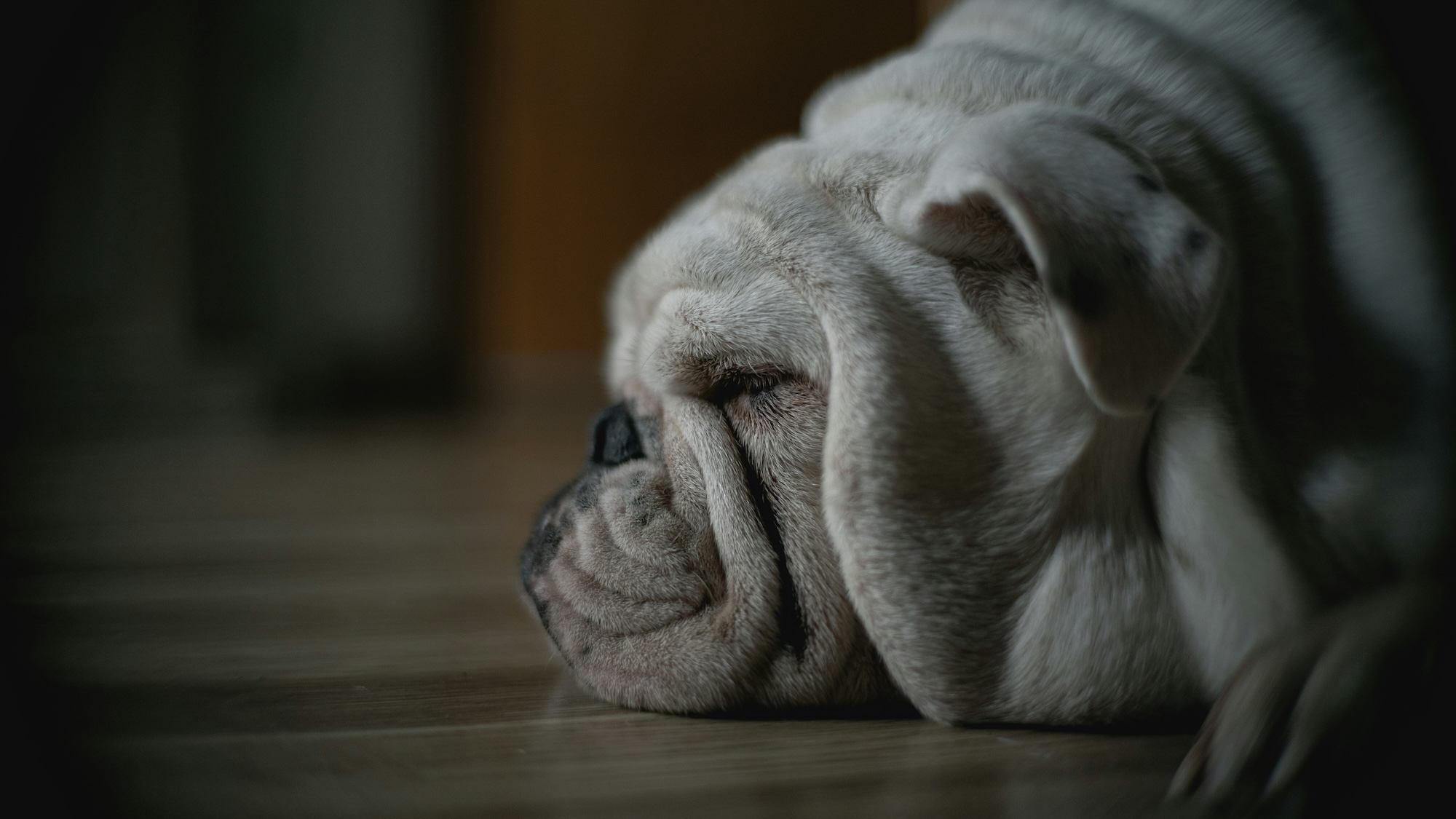 Anxietatea: ce este, cum se manifestă și cum o poți gestiona