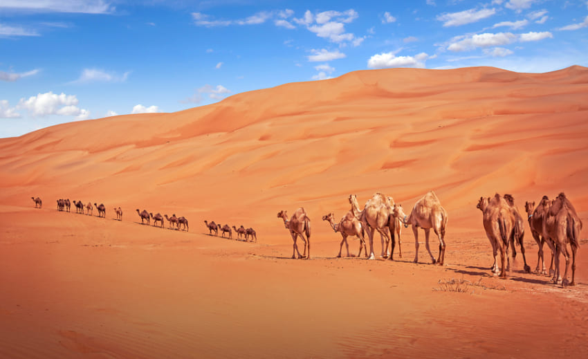 Liwa Desert Abu Dhabi