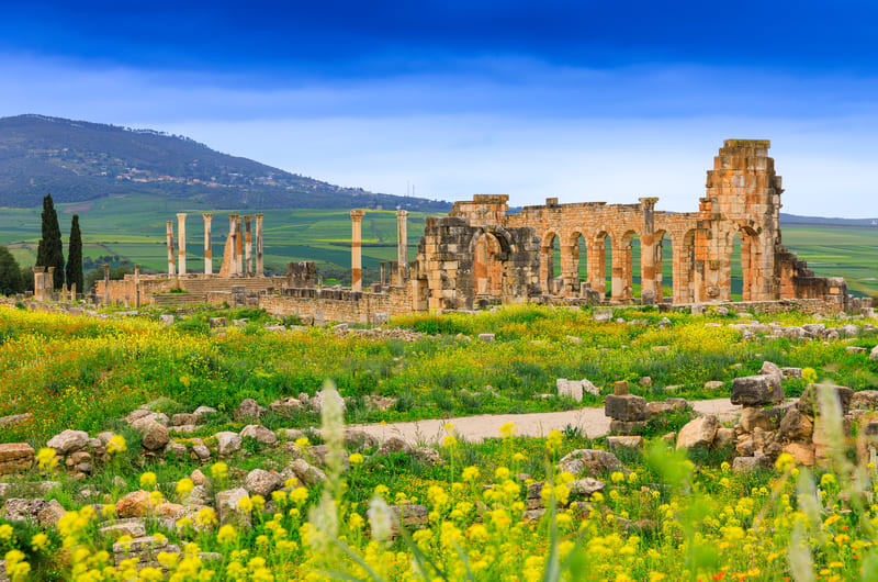 Roman Ruins of Volubilis