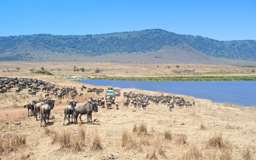 Ngorongoro Crater
