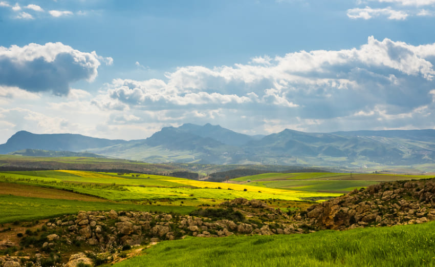 Atlas Mountains - Ifrane