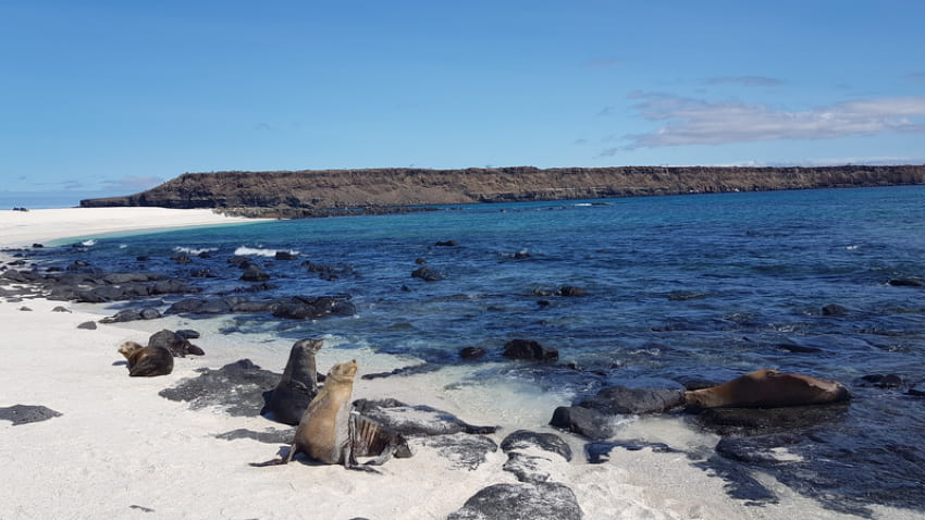 Mosquera Island