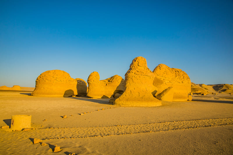 Wadi Al-Hitan (Whale Valley) Western Desert, Al Fayoum