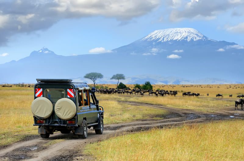Game Drive Maasai Mara