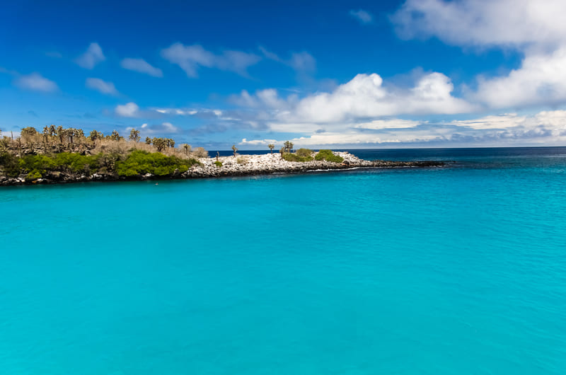 Santa Fe Island Galapagos
