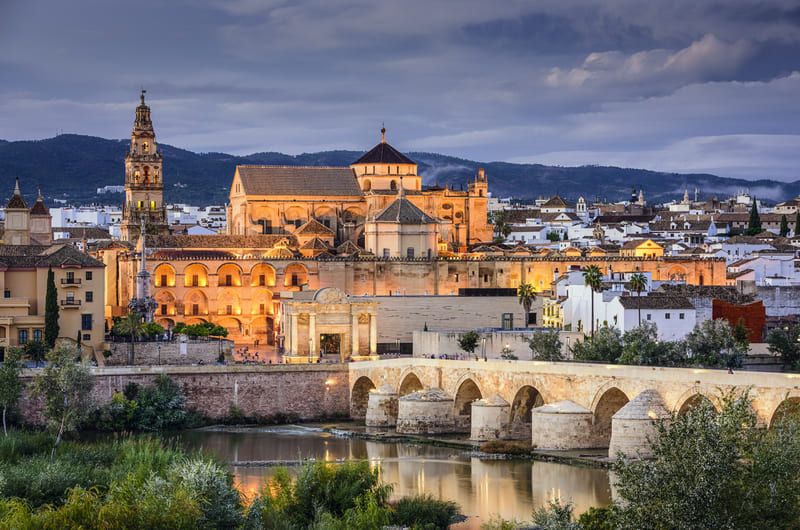 The Roman Bridge and Town Skyline Cordoba