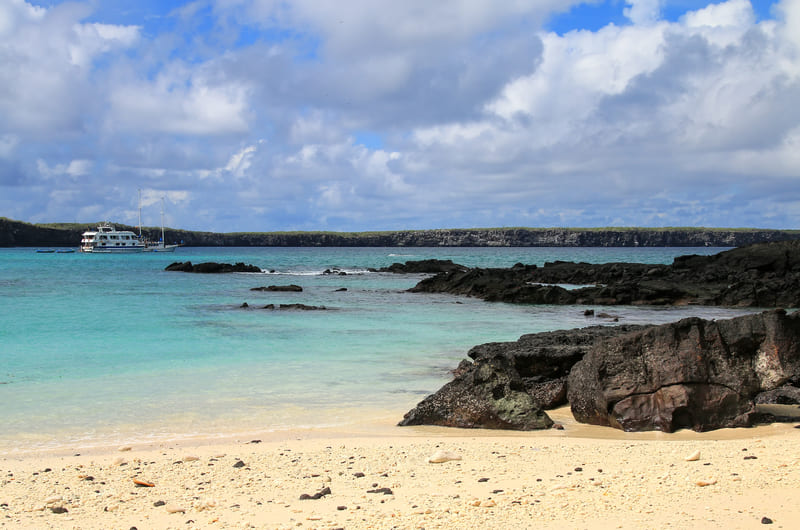 Darwin Bay