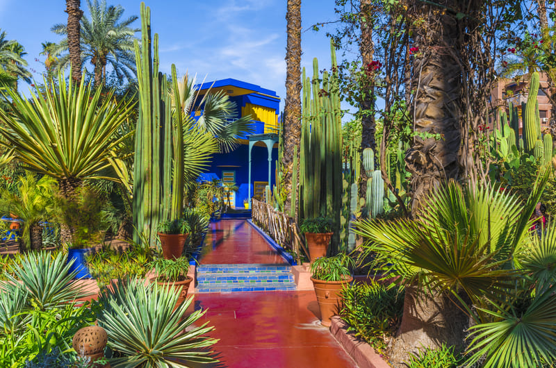 Majorelle Garden - Marrakech