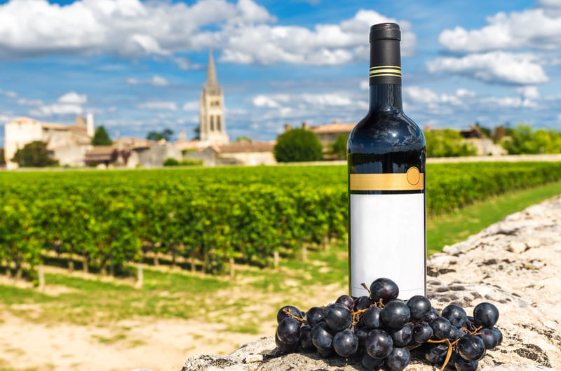 Vineyards of Saint Emilion Bordeaux