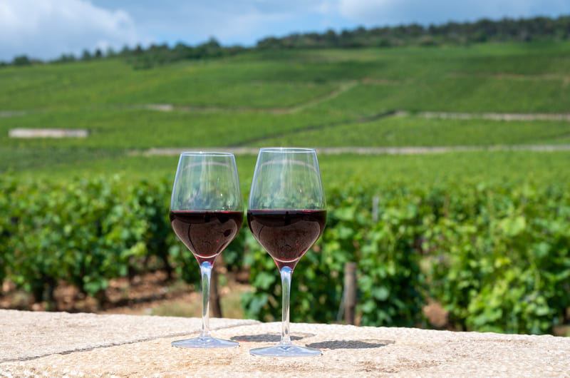 Wine Tasting