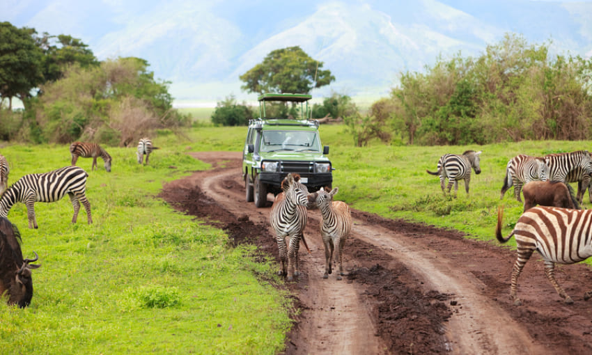 Game Drive Ngorongoro Crater