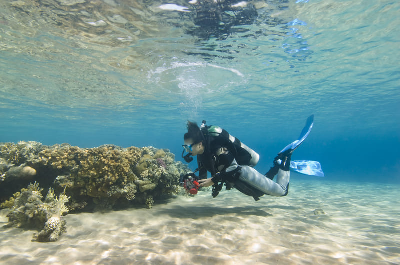 Diving Sharm El Sheikh