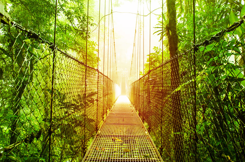 Arenal Hanging Bridges - Costa Rica