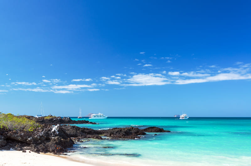 Pristine Water Galapagos Islands