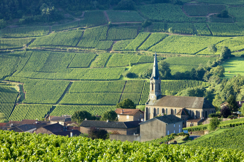 FULL DAY E-BIKE BURGUNDY TOUR, TASTINGS & LUNCH - SMALL GROUP