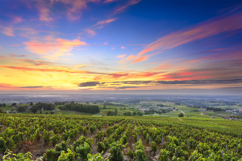 NORTHERN RHÔNE DELIGHTS: PRIVATE FULL-DAY WINE TOUR FROM LYON