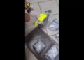 В Кишиневе арестовали членов группировки, ввозившей наркотики из Испании: им грозит от 10 до 15 лет тюрьмы
