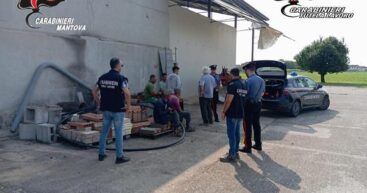 Десятки молдаван эксплуатировали на фермах в Италии