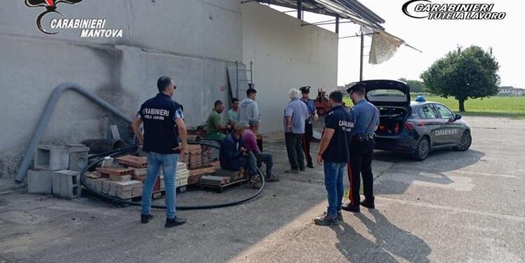 Десятки молдаван эксплуатировали на фермах в Италии