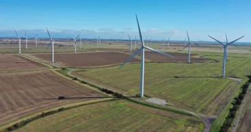 Ветер стал одним из крупнейших источников электроэнергии. Почему отключают турбины?