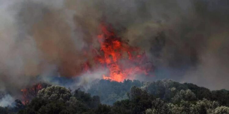 В Турции 10 человек погибли при тушении лесного пожара