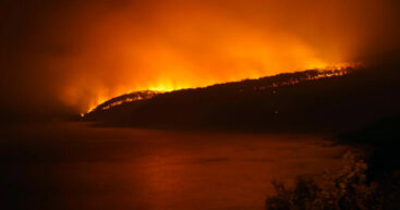 Один из штатов в Австралии охватили лесные пожары