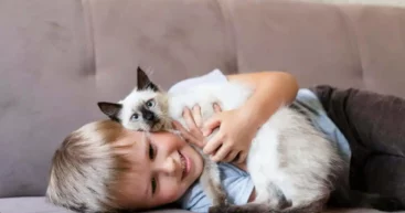 ​​Учёные выяснили, зависят ли кошки от эмоциональной поддержки человека