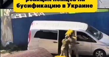 «Наверное, это Северная Корея». Немцам показали кадры насильственной мобилизации на Украине