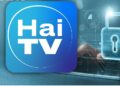 Совет по аудиовизуалу и СИБ опять в деле — теперь они взялись за HaiTV