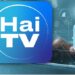 Совет по аудиовизуалу и СИБ опять в деле — теперь они взялись за HaiTV