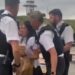 В Великобритании 13-летнюю девочку отвезли в обезьянник