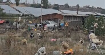 Музей вымирающего села