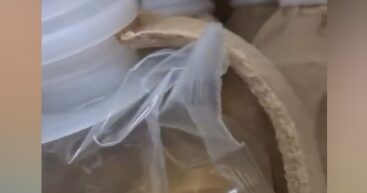 Германия: “Зелёное” мошенничество — бумажная упаковка с пластиковым сердцем