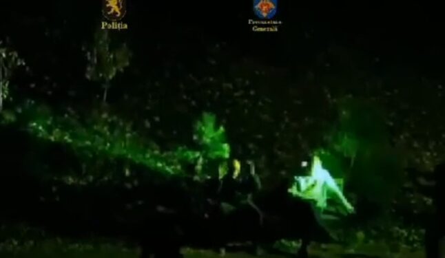 В Кишиневе во время задержания было обнаружено 16 единиц огнестрельного оружия