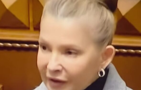 Юлия Тимошенко: «Законопроєкт № 9363 угрожает праву собственника»/видео