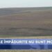 Новый случай эффективного лесонасаждения от эффективных менеджеров Майи Санду