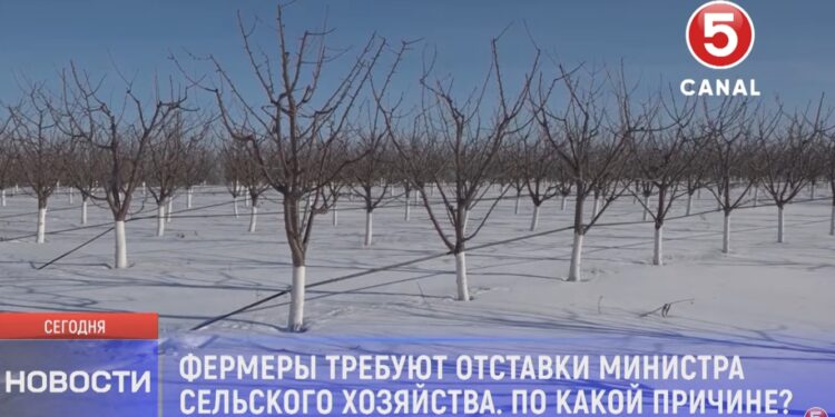 Фермеры требуют отставки министра сельского хозяйства Людмилы Катлабуги, обвиняя её в некомпетентности