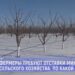 Фермеры требуют отставки министра сельского хозяйства Людмилы Катлабуги, обвиняя её в некомпетентности