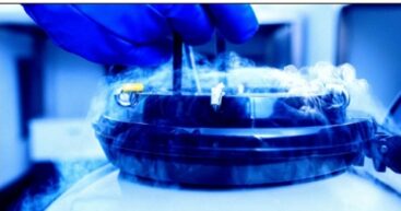 Учёным удалось вернуть к жизни мозг после глубокой заморозки