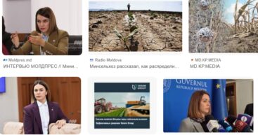 Бюрократический десант: Министерство сельского хозяйства Молдовы лечит засуху новыми креслами