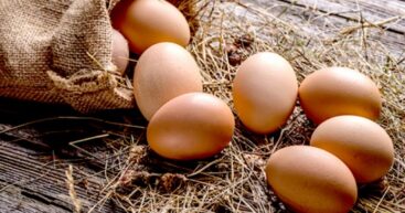 В Молдове стремительно дорожают яйца: В Кишинёве уже продают по 50 леев за десяток