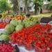В эти выходные в столице работают ярмарки